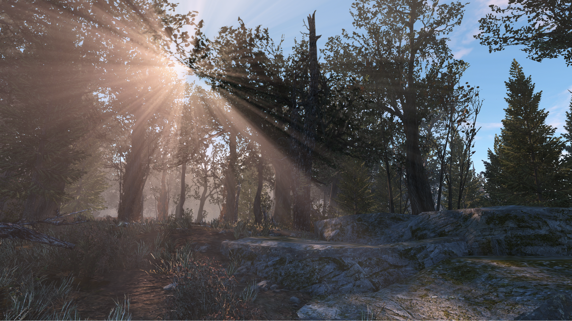Wilderness01.thumb.png.d65122048f6962d28df58ebf9efbf857.png