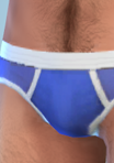 pantsmalebrief10_briefs02blue.png.04e843939d057ea069b7e4a0eb6bef5d.png
