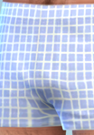pantspattern_09_boxers03_bluesquares01.png.22f94a173e1ac832e6ae7722701d89fd.png