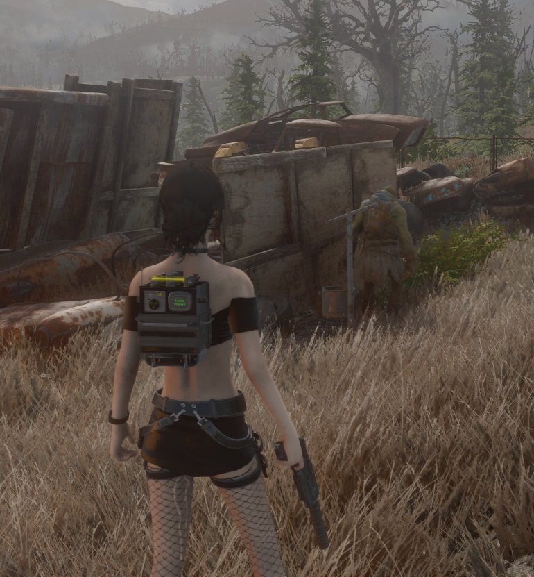 2026-04-3022_20_28-Fallout4.png.48307c222d3ef61fd413027336693076.png