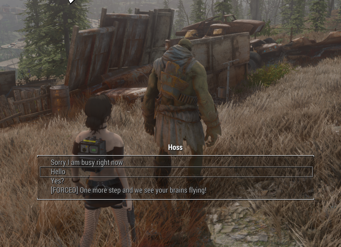 2026-04-3022_21_14-Fallout4.png.89147d66357efe0ffdf137ebf9f32891.png