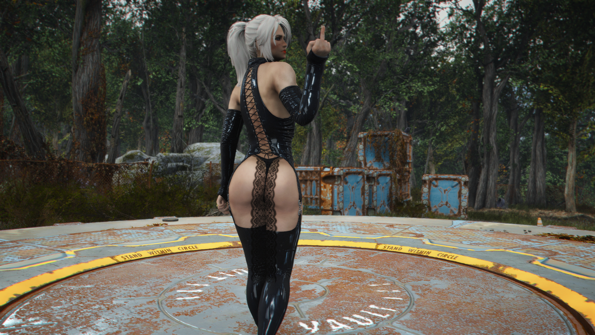 Photo3.png.d68dc70042a9331cad6389101cf5c6fd.png