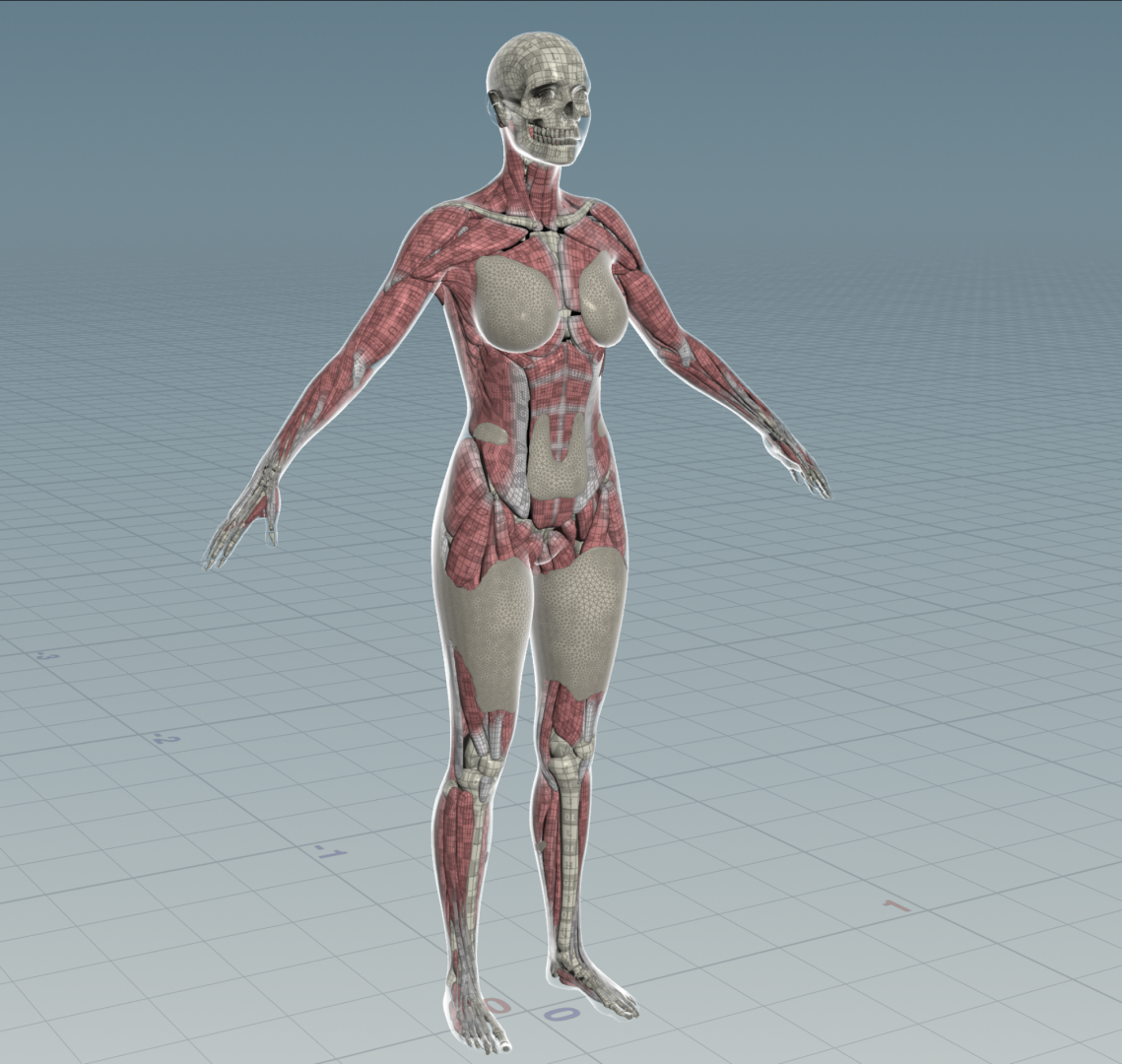 image.thumb.png.9d69fc4f40e413f07174fbdac707cd9c.png