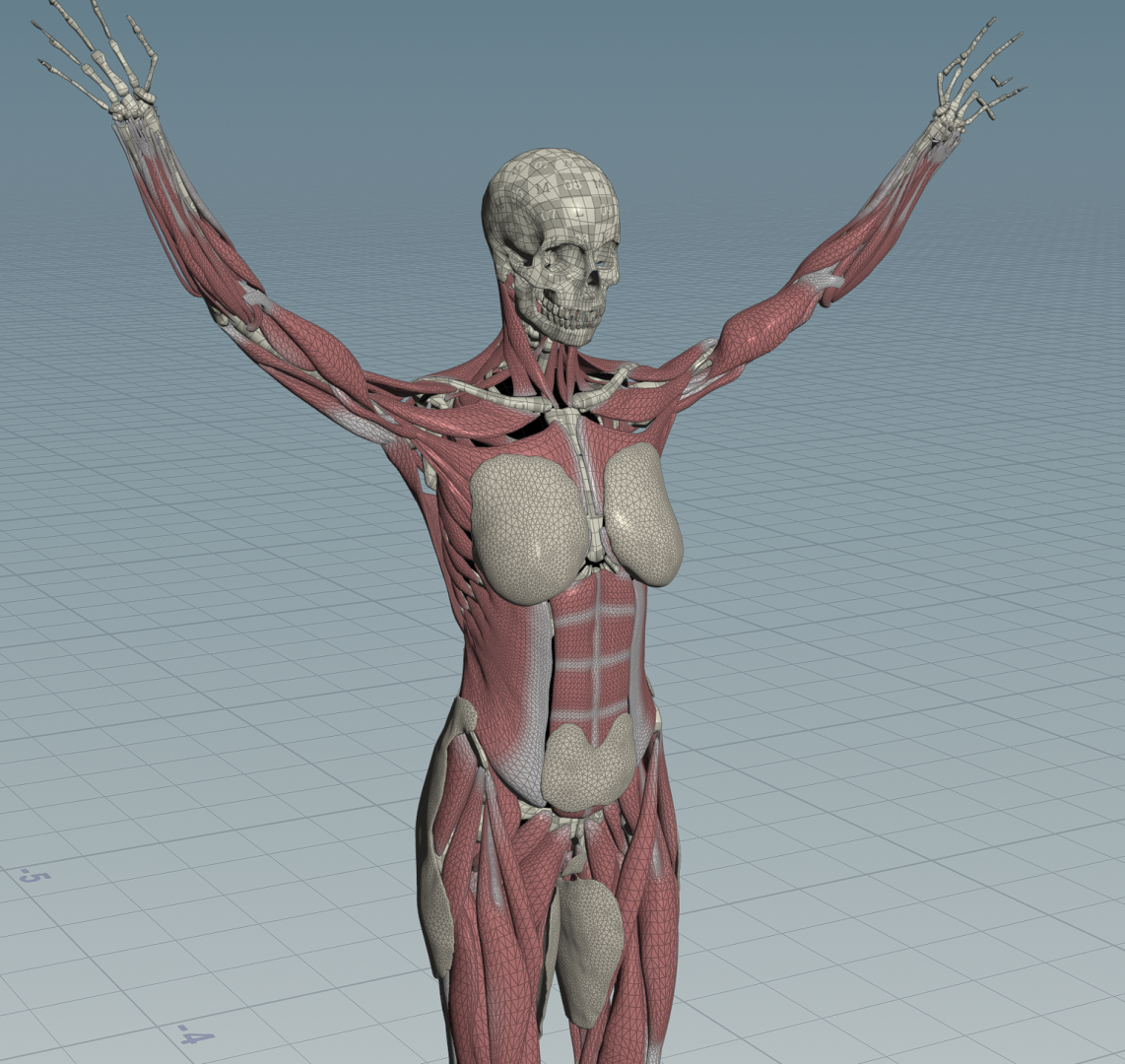 image.thumb.png.fdf8eff1e5dc0ca919106942ff63c2dc.png