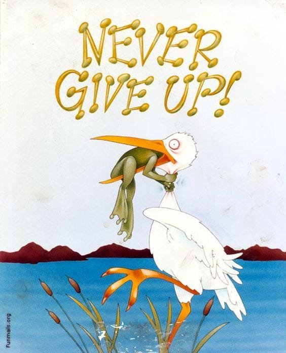 never_give_up.jpg.574621e5b4e6bcb850197b5c6c70707c.jpg