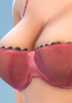 shirtdarkbalconnet07_Bra04red.png.530d144e0544b8f08db4f19cd302cda5.png