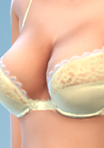 shirtpushup_17_bra_29yel.png.13fec74d66bb3e38e09d5dabd368c781.png