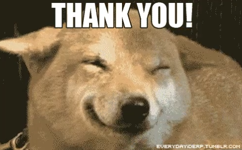 tydog.png.b1f15d3ba93e084a70f940f2922d606d.png