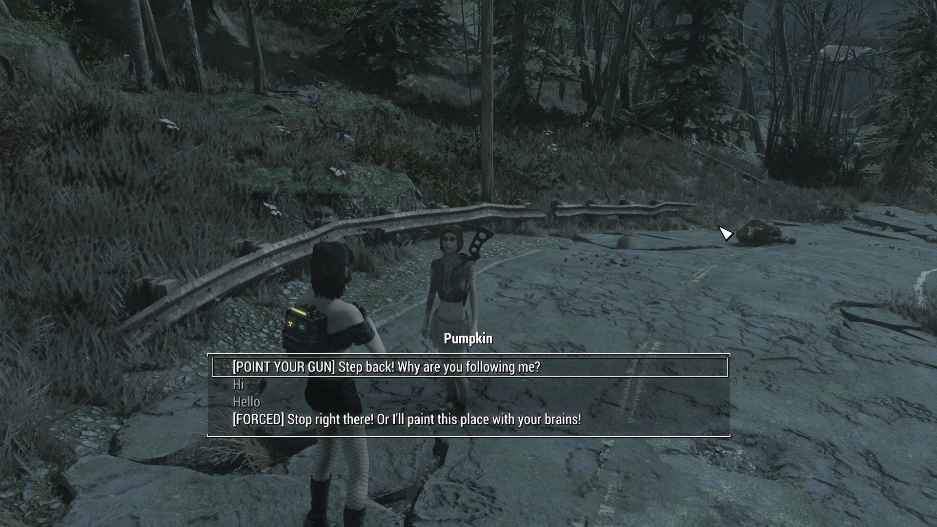 2026-05-0300_49_35-Fallout4.png.e61f91c59e7ad440afb8145bd42afdce.png