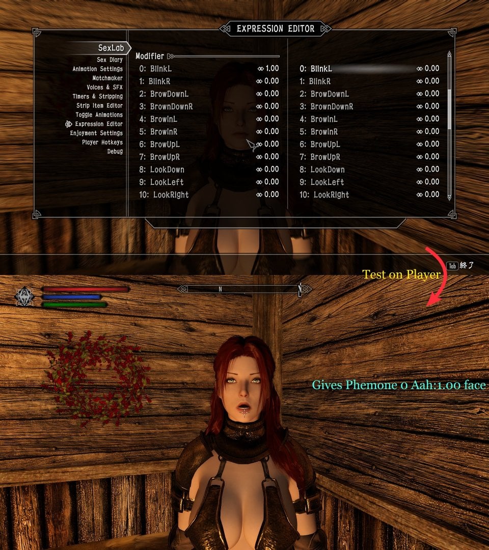 SexLab P+ expression editor 1.jpg