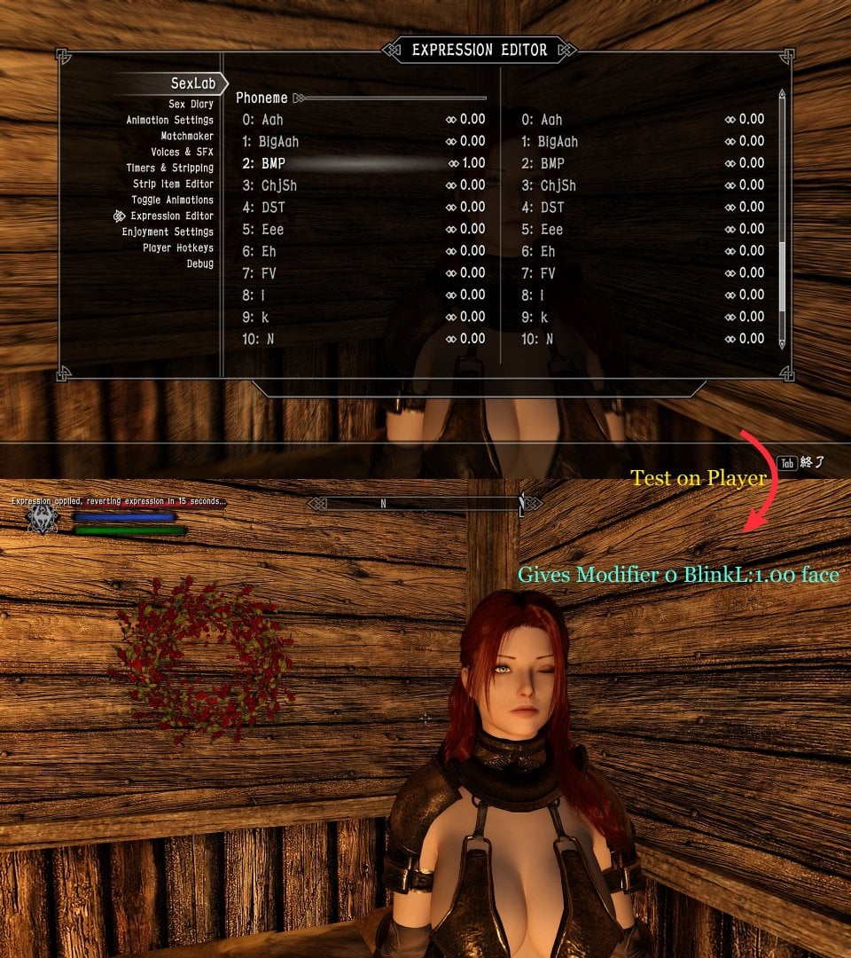 SexLab P+ expression editor 2.jpg
