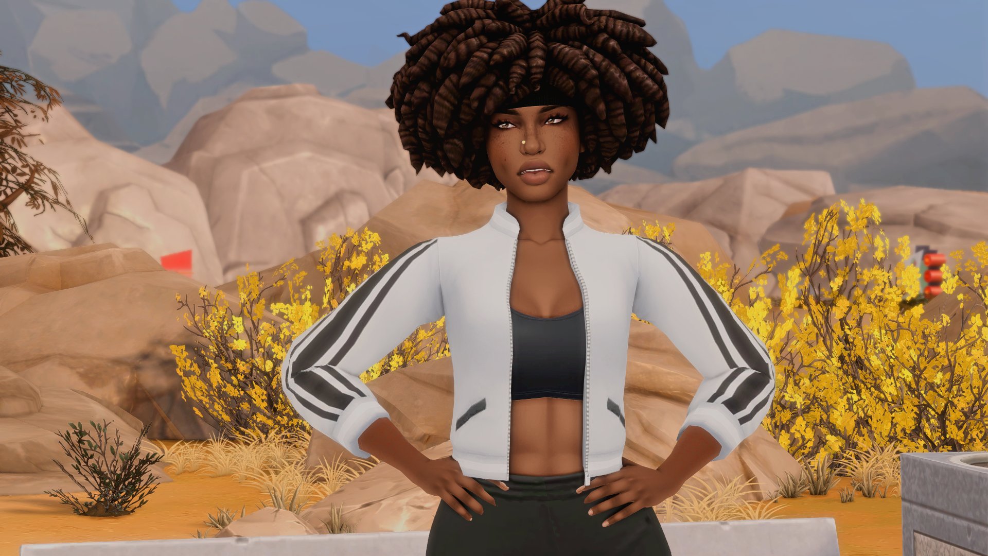 TS4_x642026-05-1723-20-45_484.png.8a791699a7d6e38550cc5dff6a16d20d.png