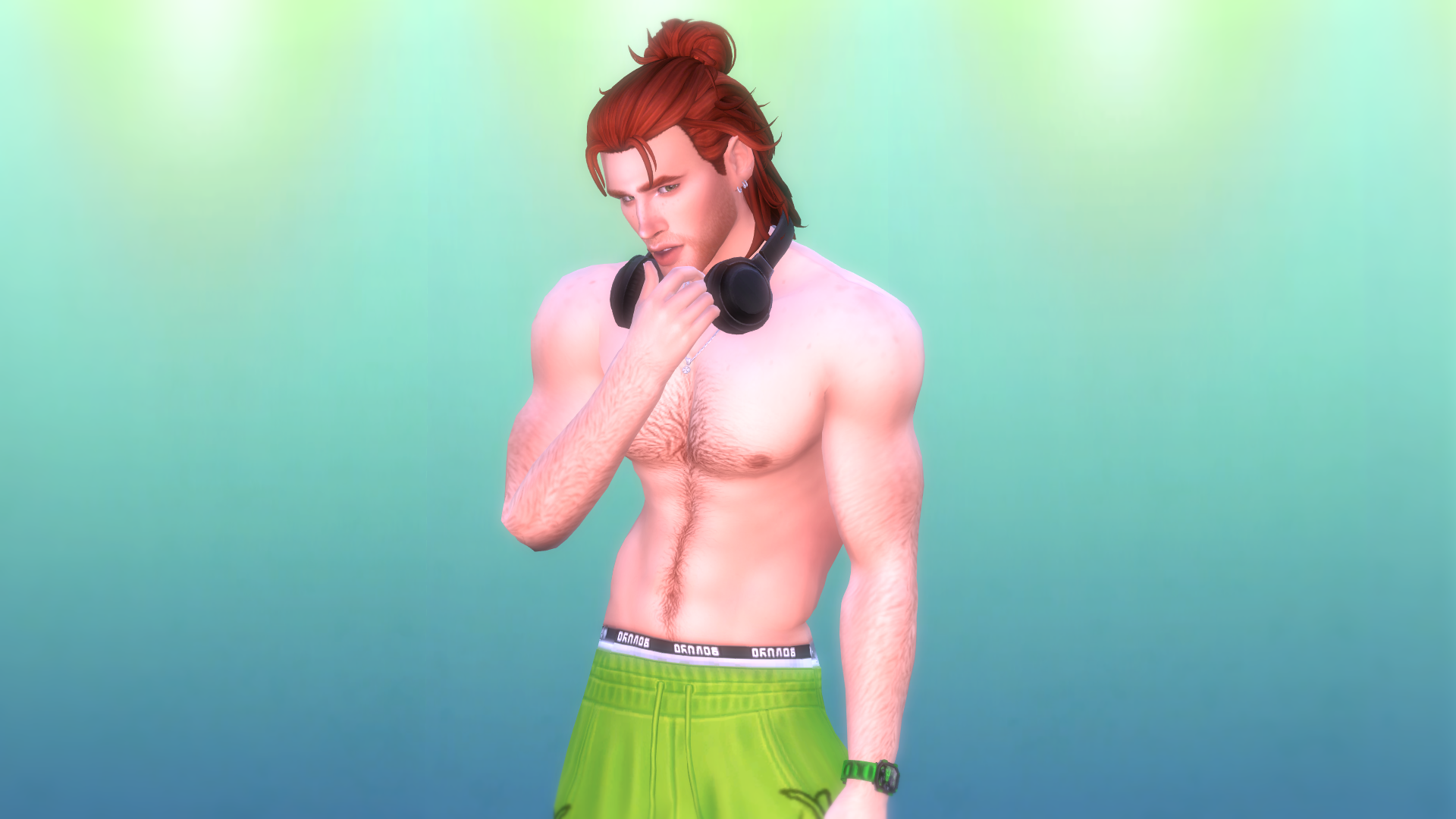 hudson0001.png.47b56146644ef8bc6cb213a474422afc.png