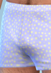 pantspattern_18_boxers03_pplstar01.png.6de2fc2e6860178a141b633c3adede2a.png