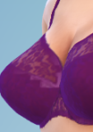shirtdarkfull_08_bra_05ruby.png.d5ba400dcfe9df729d9251d001963627.png