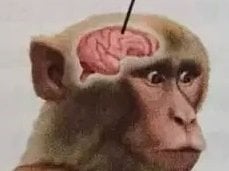 image.jpeg.d95b8754aa7c085a96b673b2b3f7c9e3.jpeg