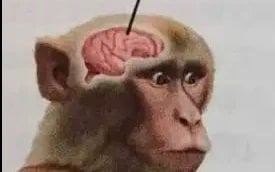 image.jpeg.e15564848548cc1a58c8ead83f946cae.jpeg