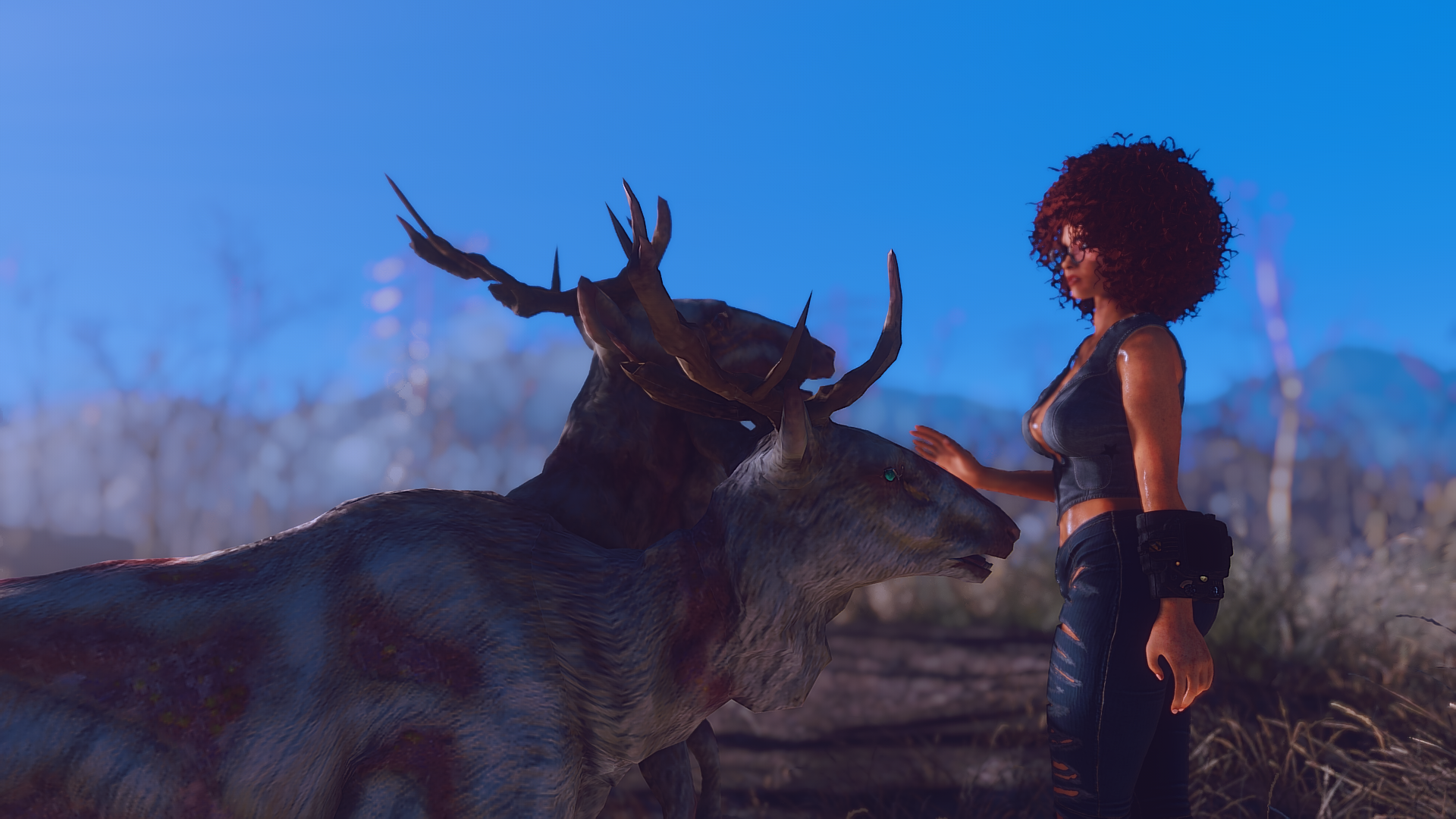 Photo232.png.c5d8b2447b00204db2dab9412604252d.png