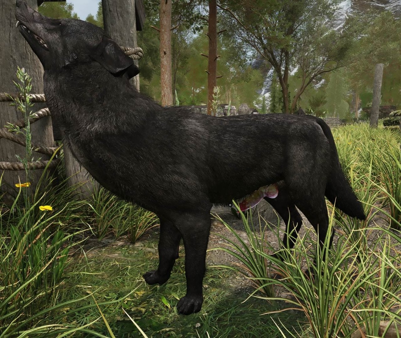 SkyrimSE_loyoVhc5nx.thumb.jpg.c7735233c660486a438716f6c04f1593.jpg