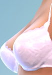 shirtdemi_13_bra28_pink.png.fe81e42a02d903ba8e3fcfa214807175.png