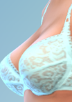 shirtfull13_bra60bblu.png.cdc38416e2170f994a3d027d2cfd5b32.png