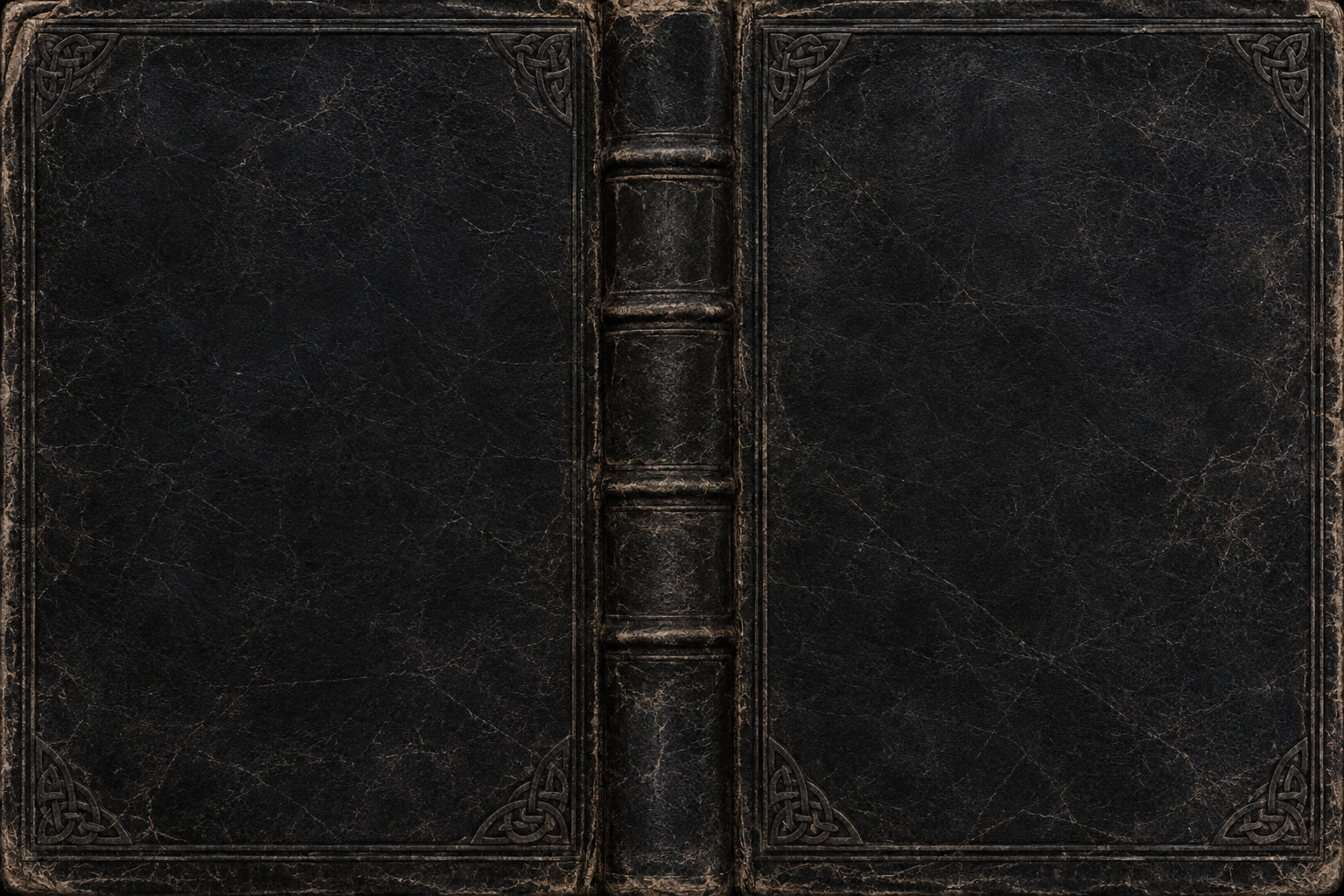 BlackCover.png.d3a5002d9ce28c8eca512b856175865b.png