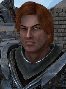 Einar.png.34813350e6b027ad7fce14c7a70892d2.png