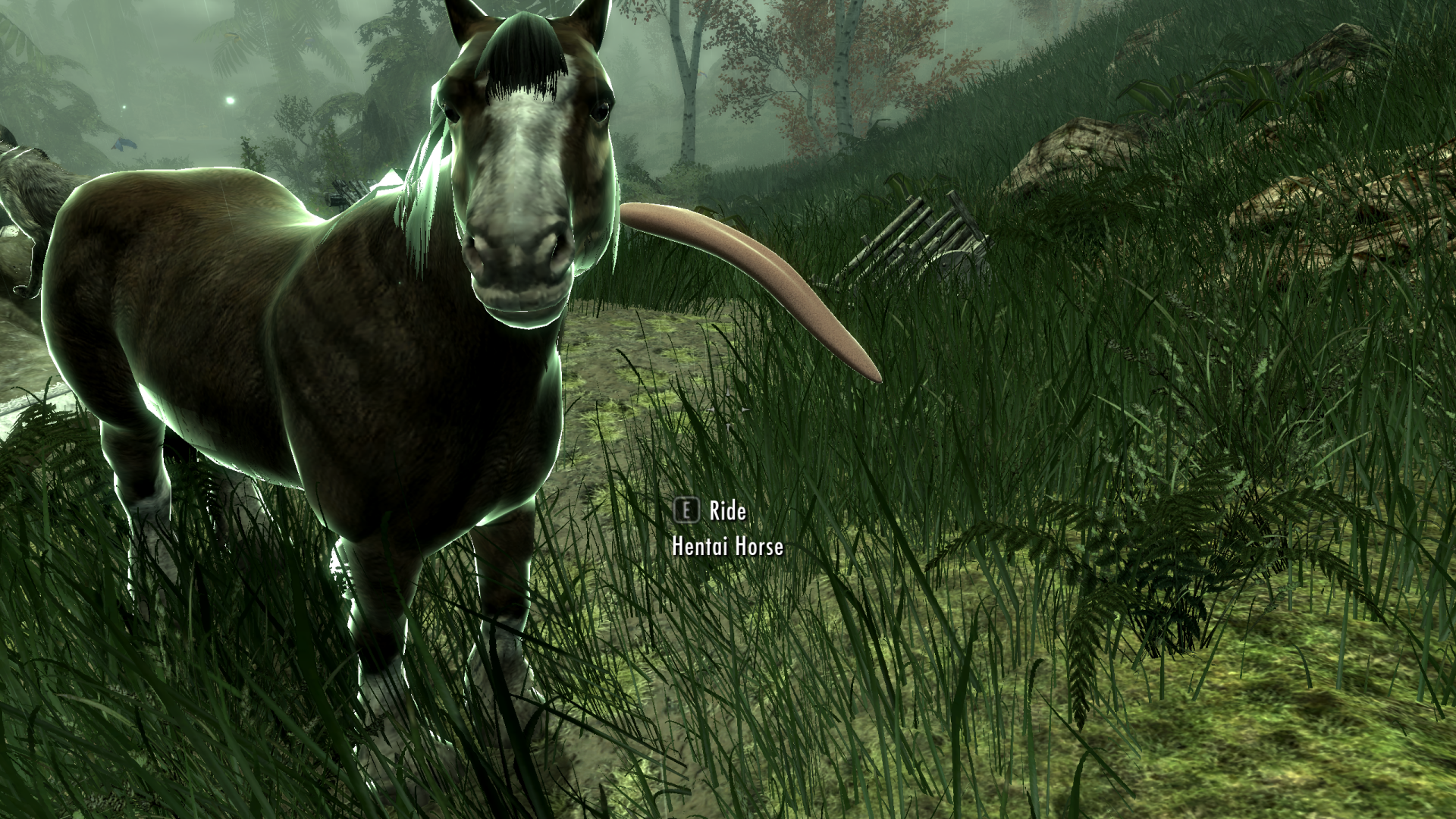 Horsetongue.thumb.png.0ad5972905526121d38aba51a85df720.png
