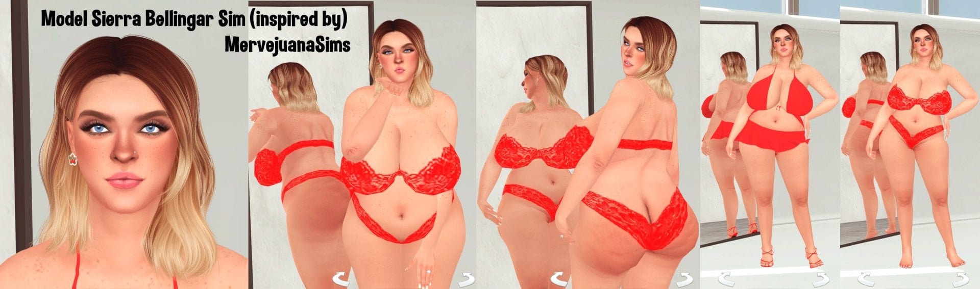 SIERRA BELLINGAR SIM 1.jpg