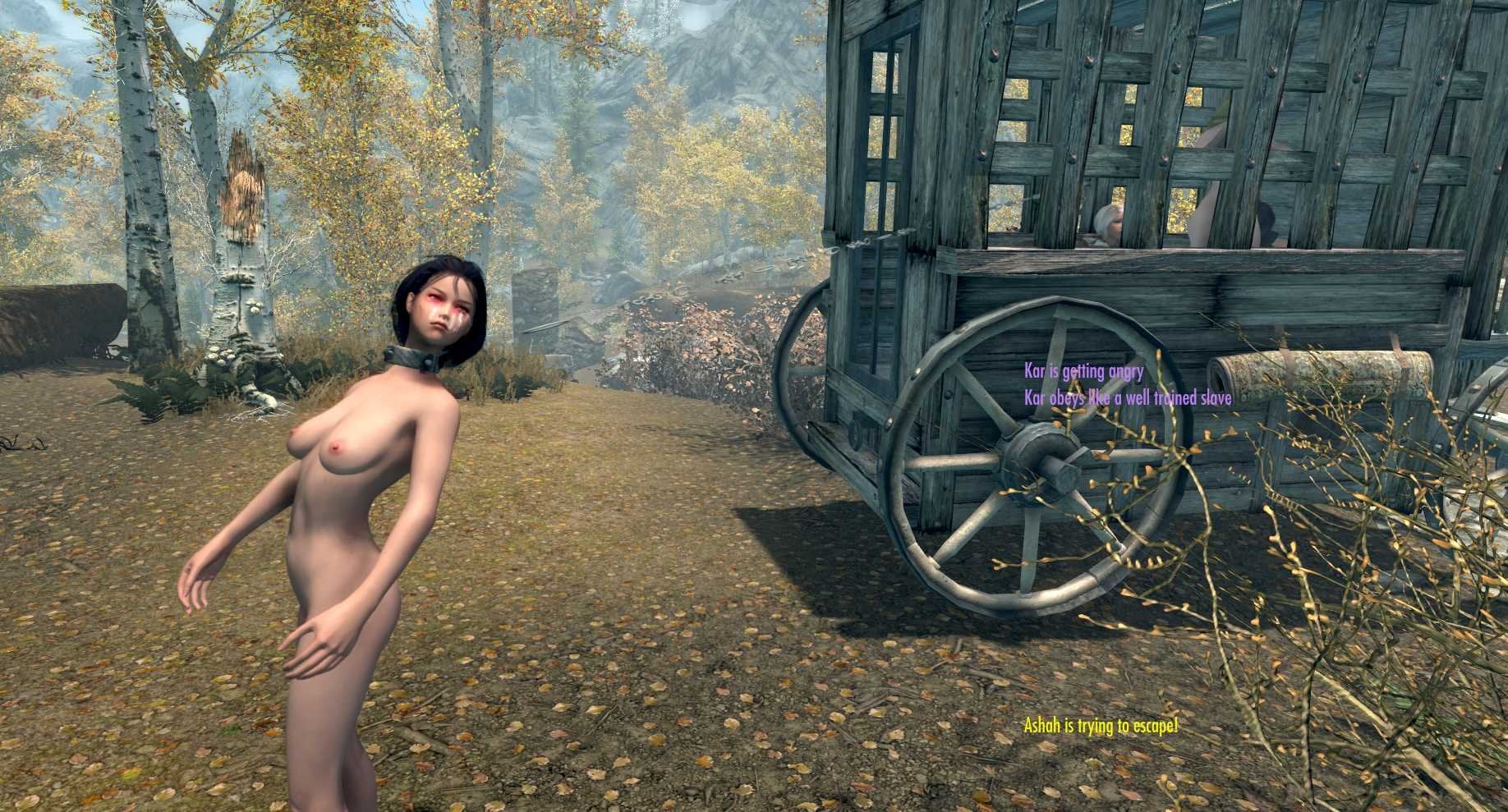 ScreenShot255.jpg.d03688c4b8aa5ba2a3779f754ab5f8af.jpg