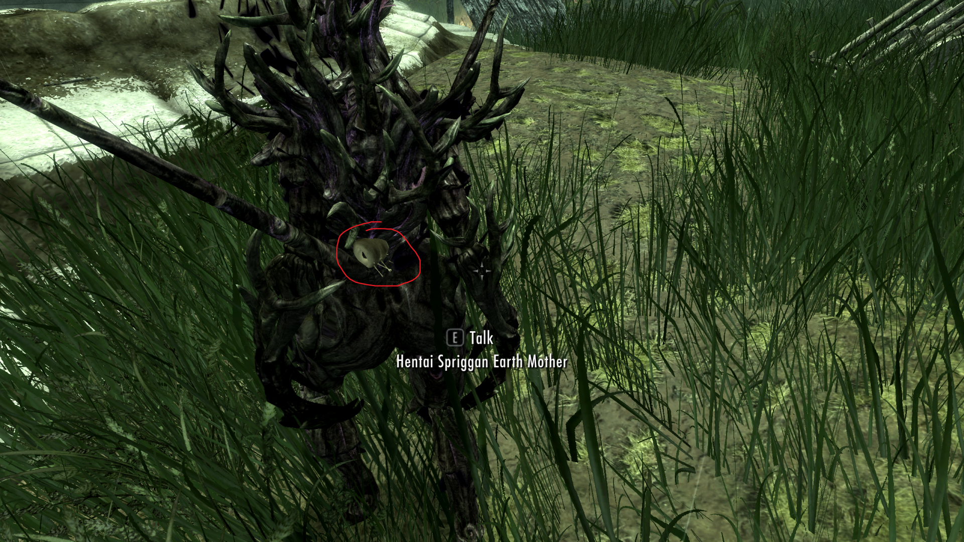 Sprig2.thumb.png.eb89ed4d0a962573fdfd75a03d684b75.png