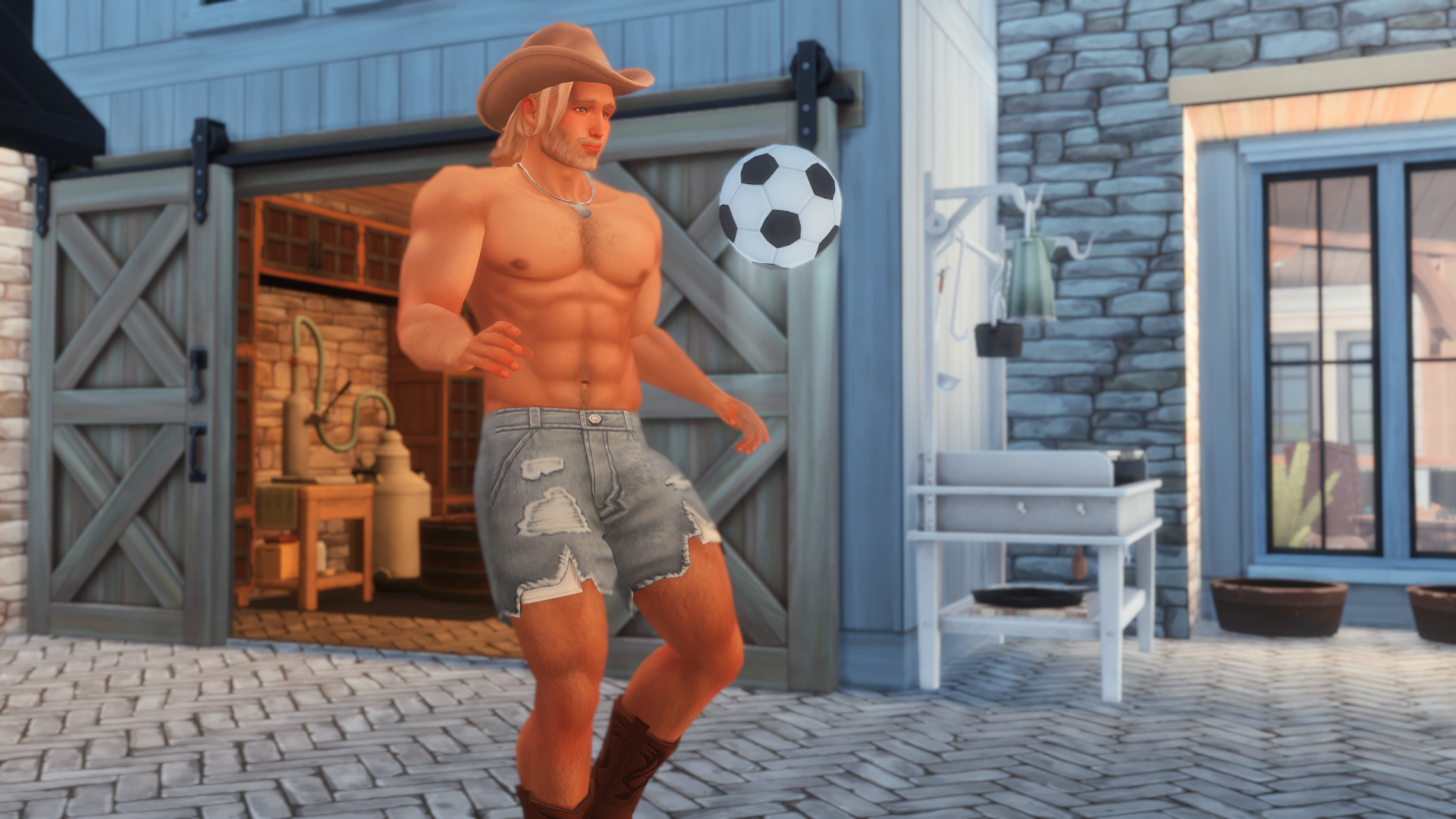 TS4_x64 2026-08-03 21-00-39.png