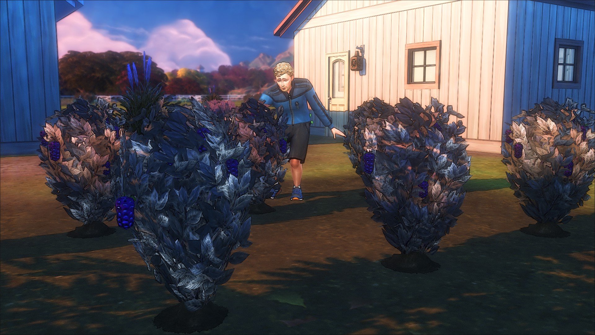 TS4_x642026-08-0521-53-17_688.jpg.59135f059345a7fc7191d31ab179c4c5.jpg