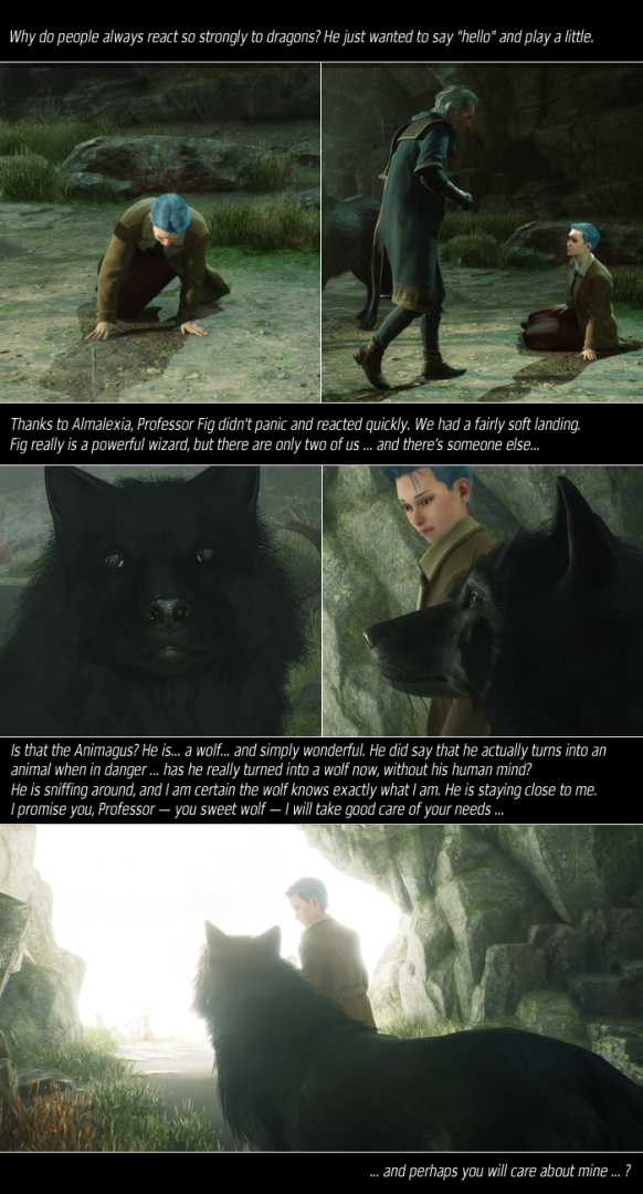 page_0005.png