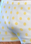 pantspattern_28_boxers01_PD_yel.png.73a75a8e02ed5771ac29485a1a0438dd.png