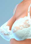shirtfull18_bra06blu.png.f28cbeb1831b83159fff39f75f599170.png