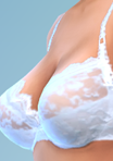 shirtfull20_bra06ppl.png.a4ebb35710327ce9d754f69101d6def6.png