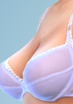 shirtsupp03_bra63ppl.png.1315e9f58eec25711eefcea1cd05fc88.png
