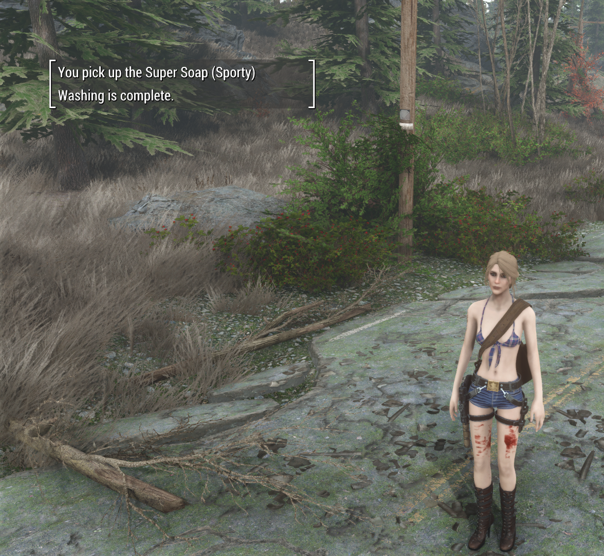 2026-09-1722_18_08-Fallout4.png.09bd9ab148f5750dc4c8014c4c72dc9a.png
