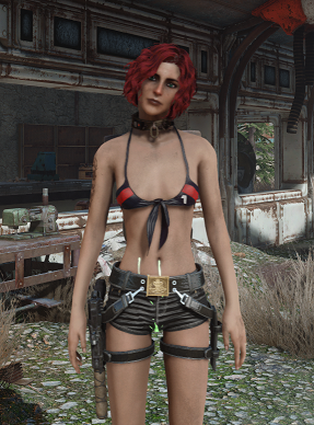 2026-09-2716_39_01-Fallout4.png.88045084ee17a2af9f15b00420a3355d.png