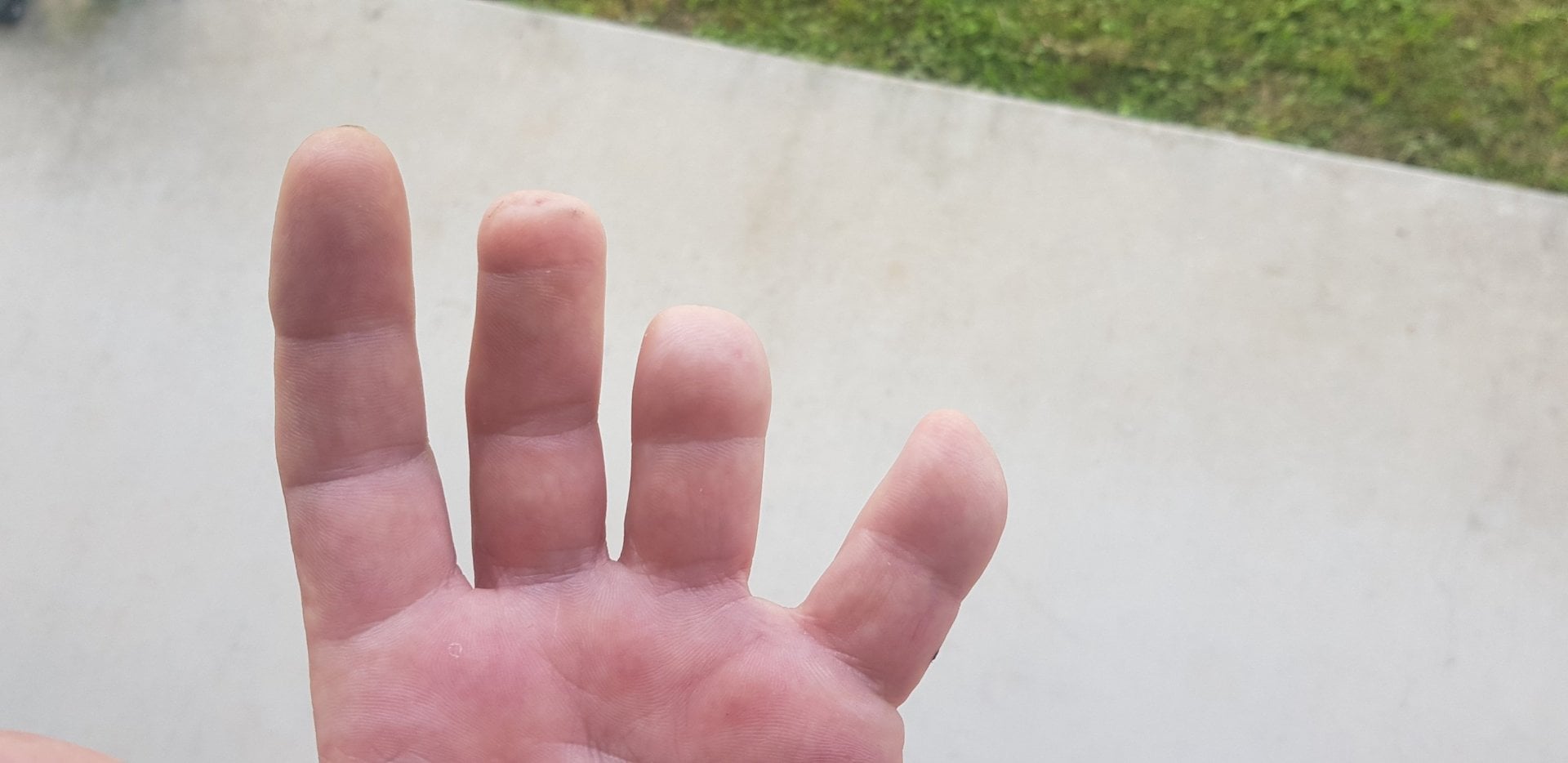 20260224_100145.thumb.jpg.97bd3d3481d3a734d316866f99161c5d.jpg