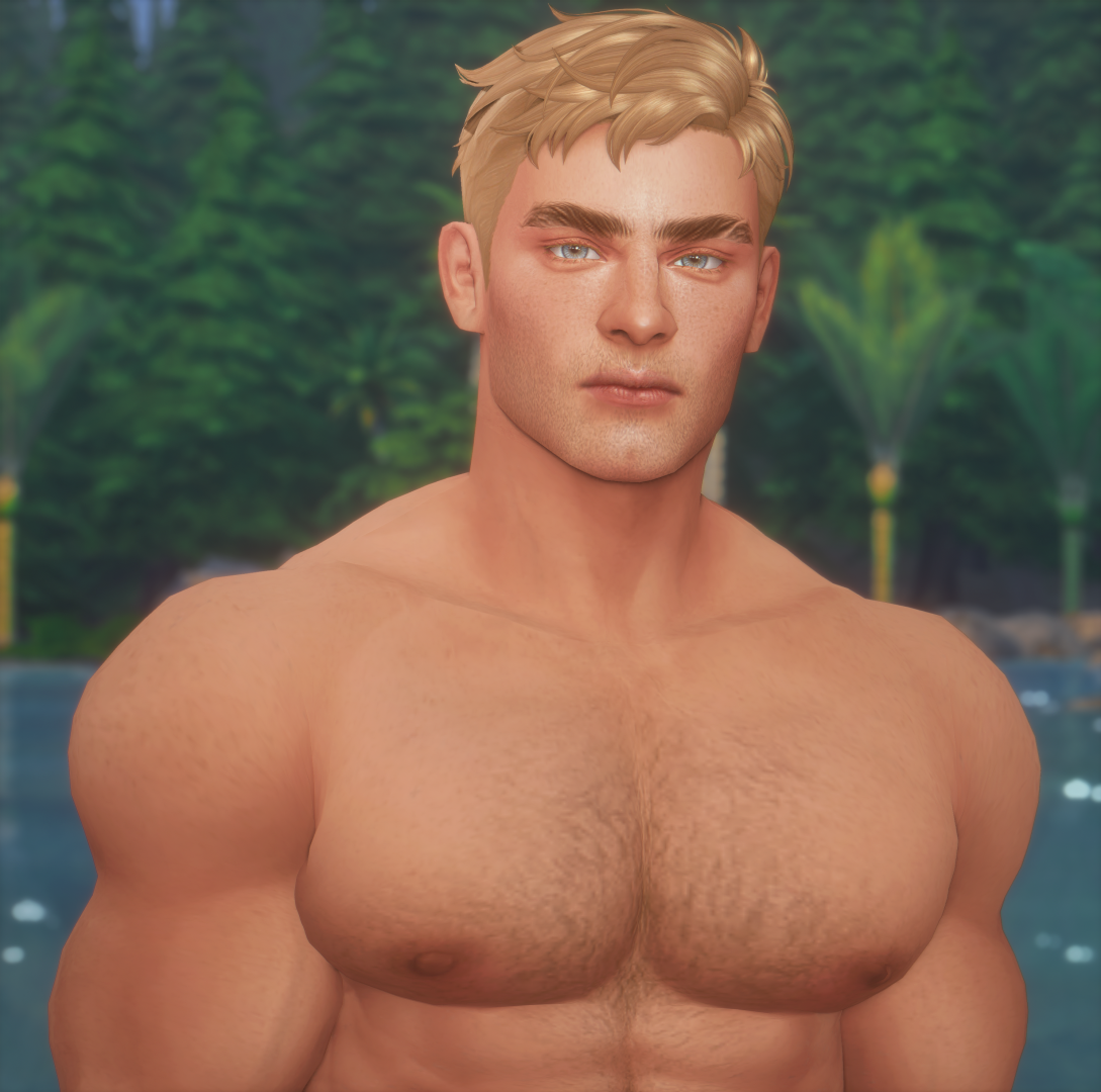 A1.png