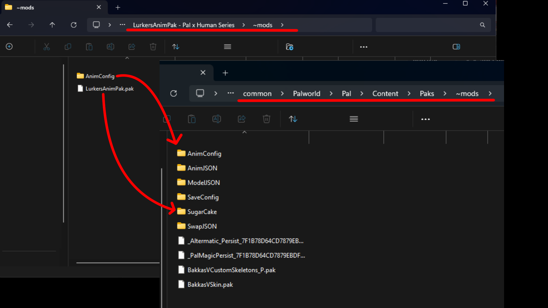 Animinstallguide2.png.22bd4f41ea978c07e27d29af82084b97.png