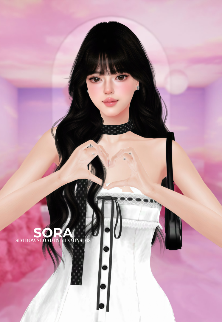 SORA.png