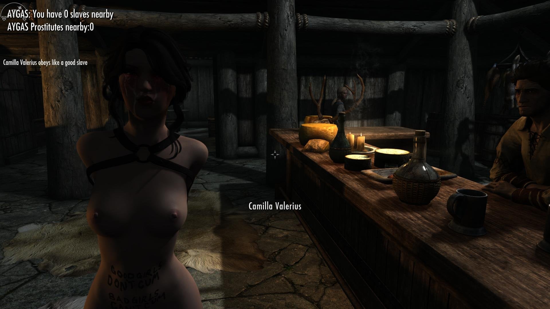 SkyrimSE2026-09-0218-15-10-29.jpg.ad1a9900b56423b7f6e982c0a393a1b6.jpg