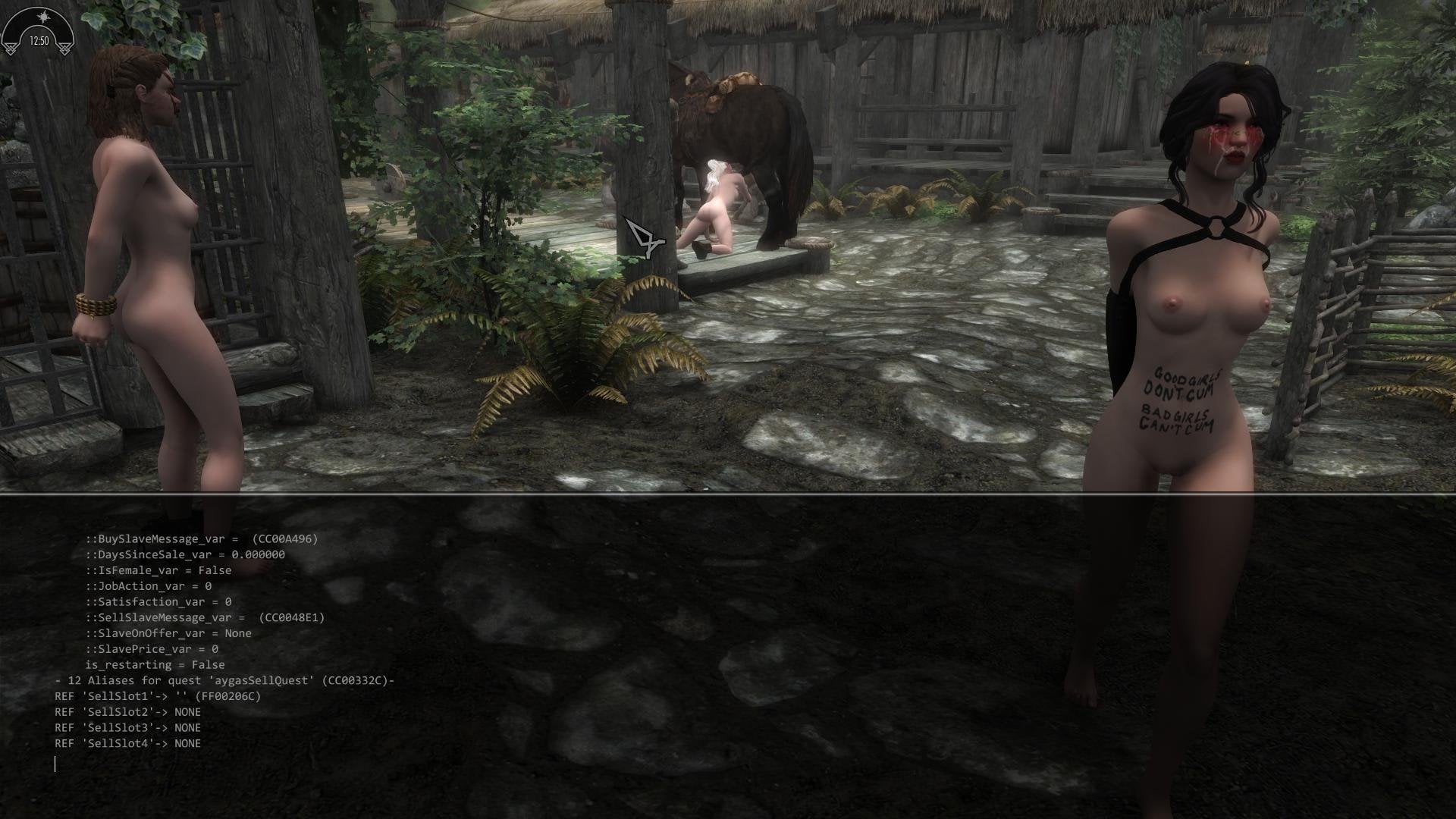 SkyrimSE2026-09-1414-35-39-48.jpg.a3befc1705196c282746bc93606689a6.jpg