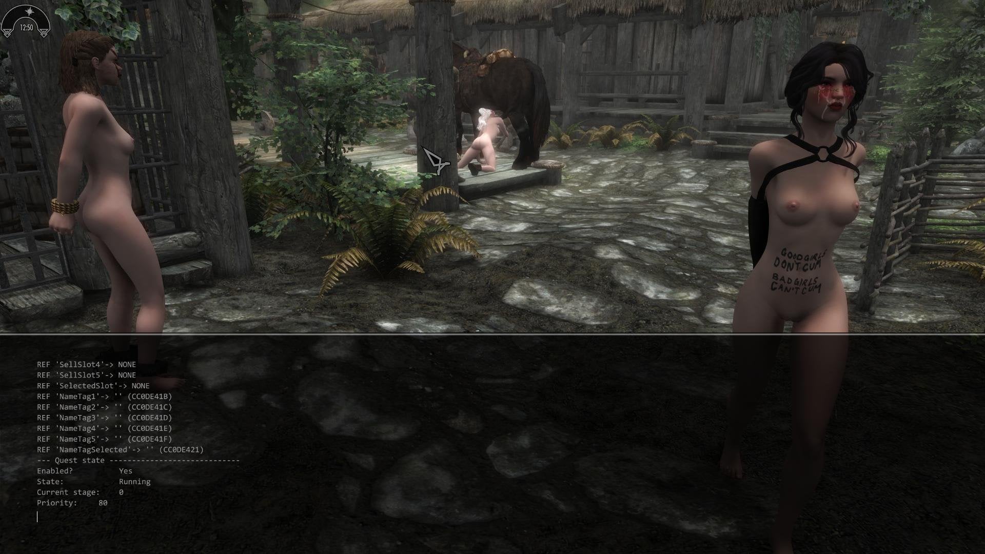 SkyrimSE2026-09-1414-35-41-76.jpg.248c0446720a760085f2576824d890a3.jpg