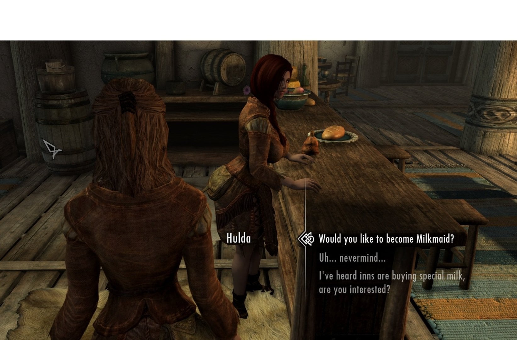 hey there no skyrim.net.jpg