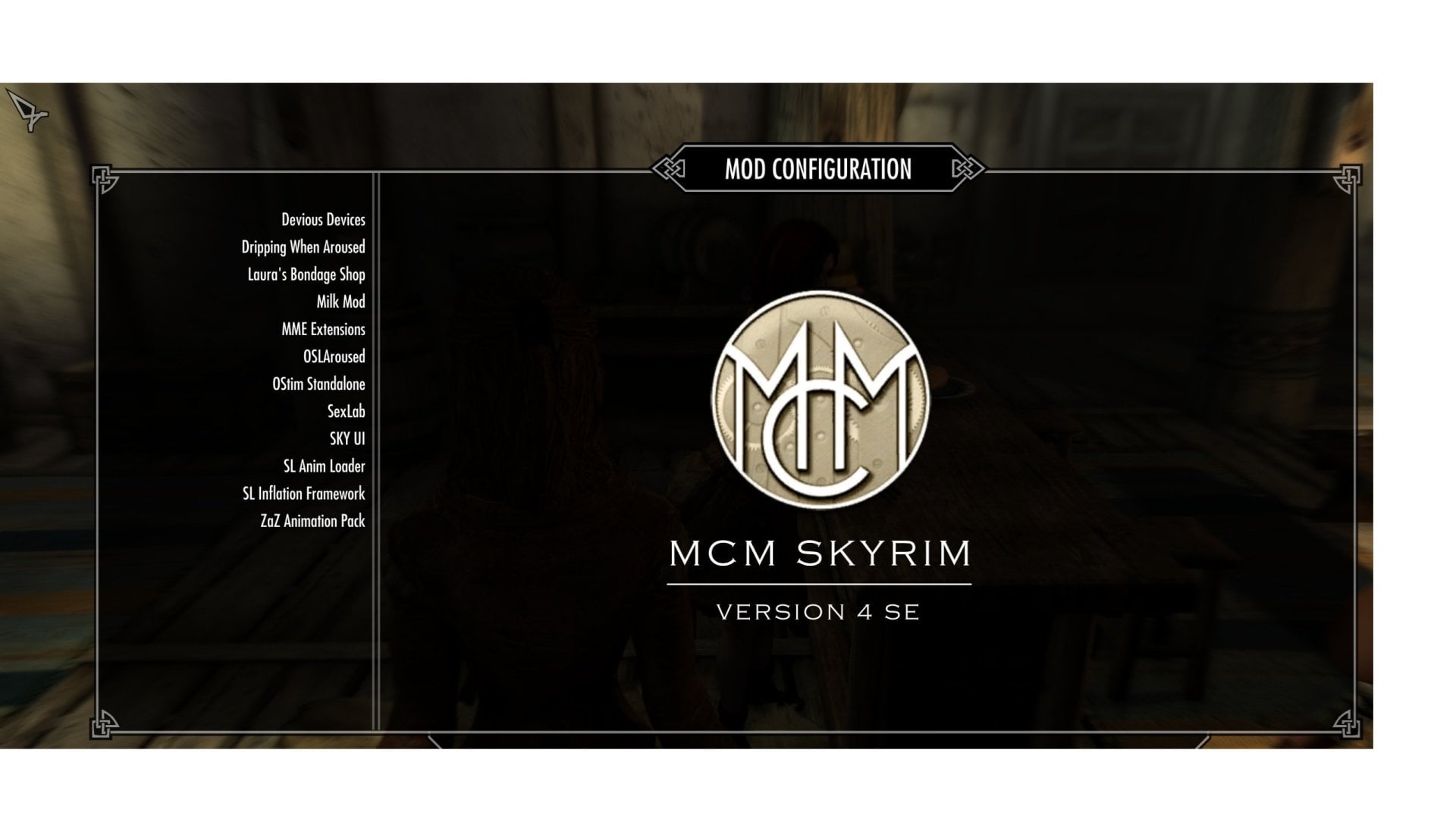 hey there no skyrim.net2.jpg