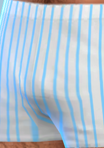 pantspattern_29_boxers01_blu.png.ee443db1097c6b8deaea50f2aeecf9cf.png